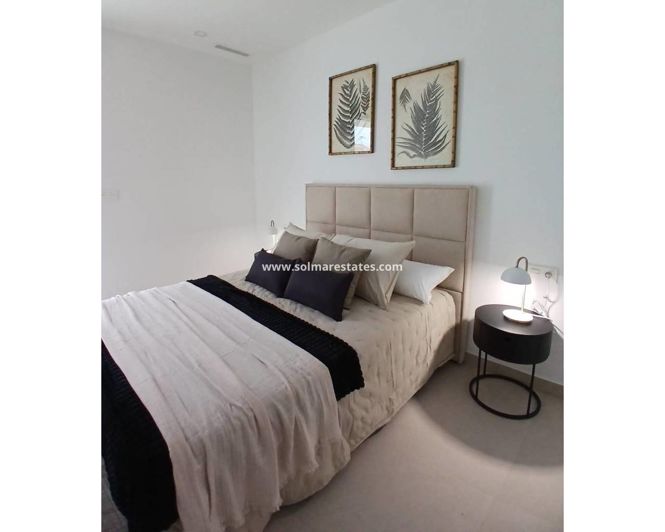 Image No.10-3 Bed Quad for sale
