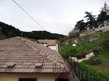 DSCN1318