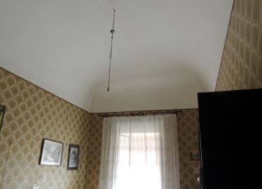 DSCN8690