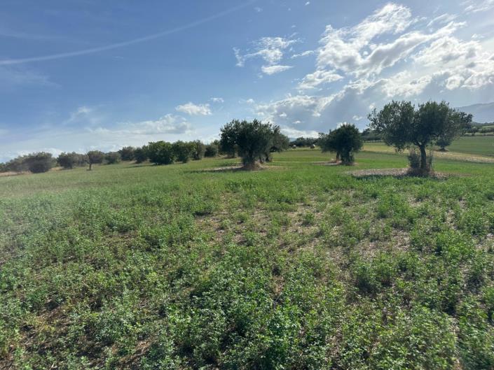 Image No.3-Land for sale
