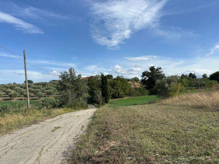 Image No.2-Land for sale