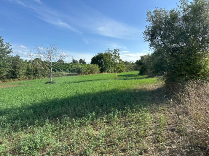 Image No.8-Land for sale