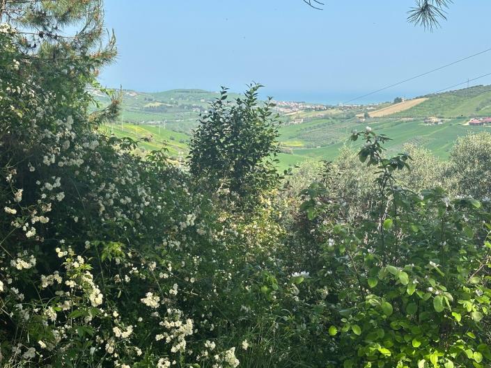 Image No.2-4 Bed Property for sale