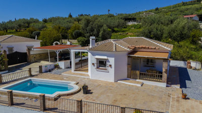 1431-villa-for-sale-in-alcaucin-52563-large