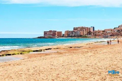 Image No.14-Penthouse de 3 chambres à vendre à Torrevieja