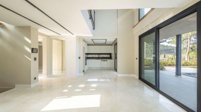 Interior 1