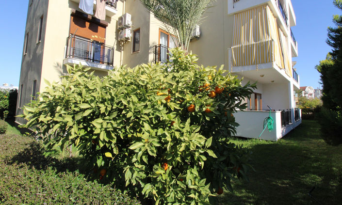 Image No.5-Appartement de 2 chambres à vendre à Belek