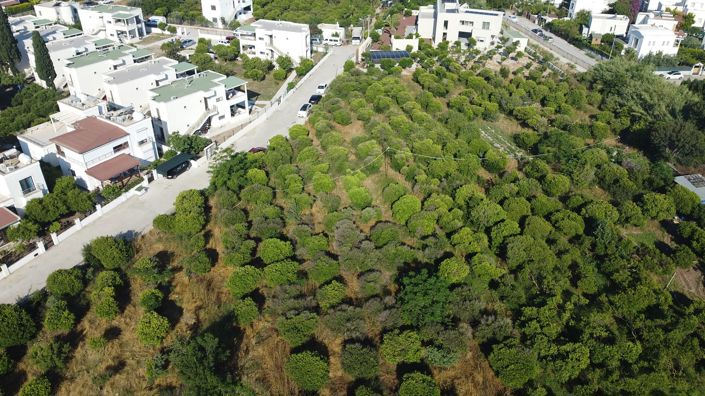 Image No.2-Land for sale