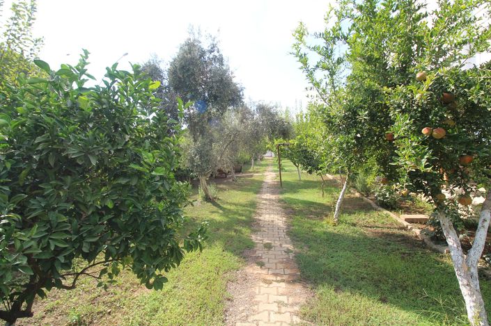Image No.6-3 Bed House/Villa for sale