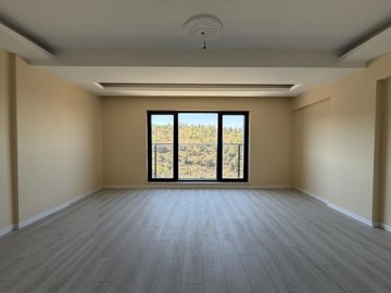 Interior 1