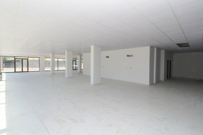 Interior 2