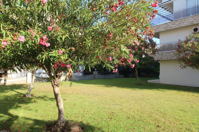 Exterior 7
