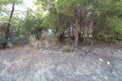 Exterior 7