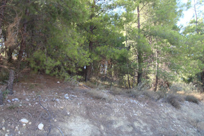 Exterior 8