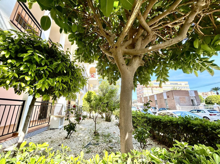 Image No.16-Appartement de 1 chambre à vendre à Torrevieja