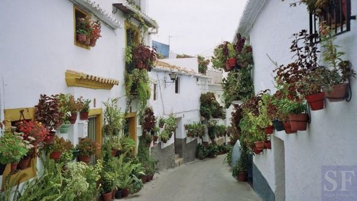 Image No.8-3 Bed Townhouse for sale