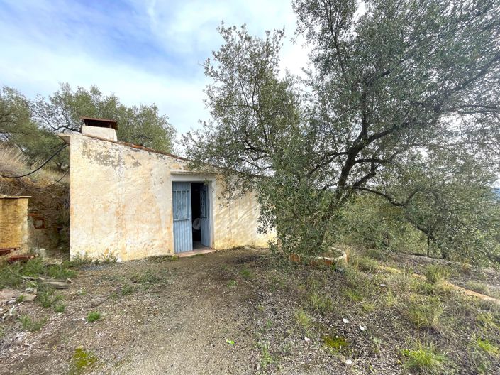 Image No.2-Maison de campagne de 1 chambre à vendre à Canillas de Aceituno
