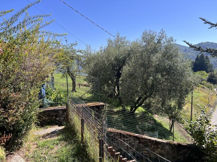 Image No.5-3 Bed House for sale