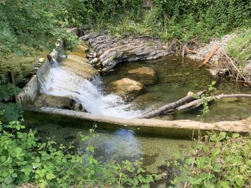image00006