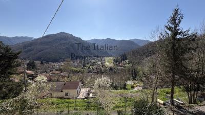 IMG_4890