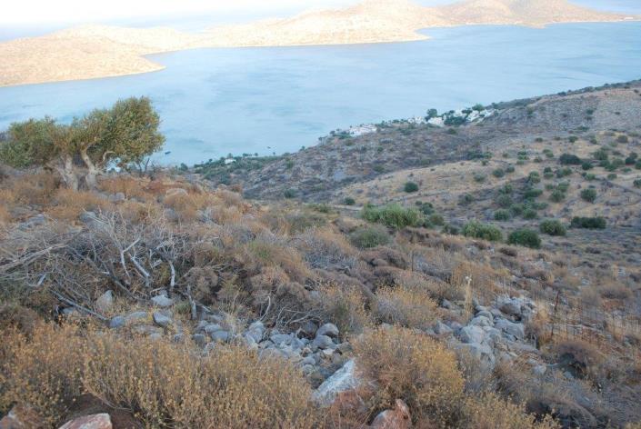 Image No.2-Land for sale