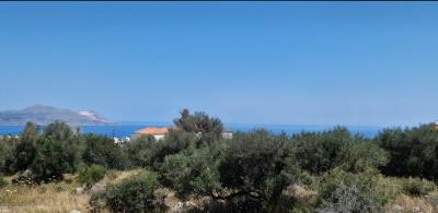Bild10