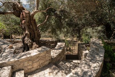 Stone-villa-for-sale-in-Chania-Crete--10-