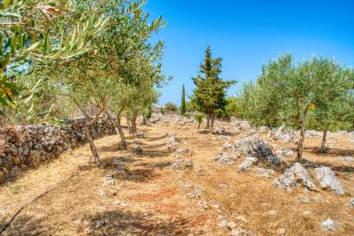 Villa-in-Apokoronas-Chania-Crete-for-sale--13-