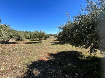 House-for-sale-in-Akrotiri-Chania-Crete--8-