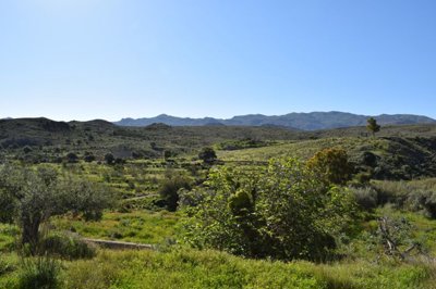 Vistas