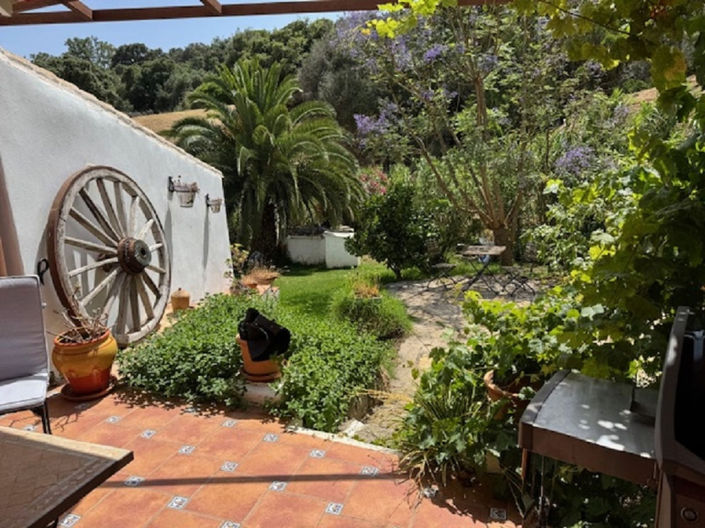 Image No.17-4 Bed Finca for sale