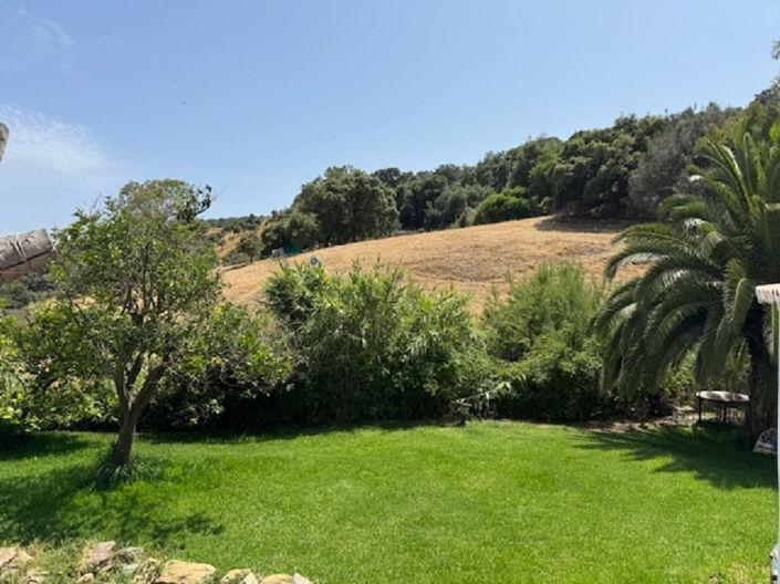 Image No.28-4 Bed Finca for sale