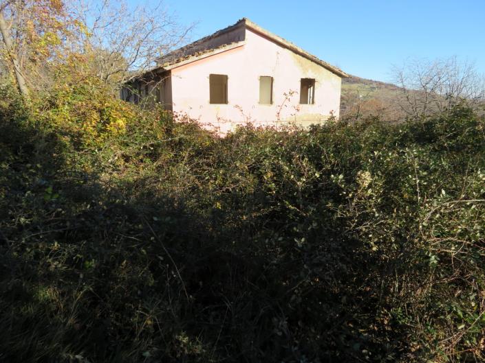 Image No.3-Ferme de 5 chambres à vendre à San Severino Marche