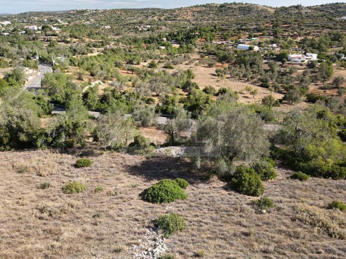 Image No.2-Terre à vendre à Loule