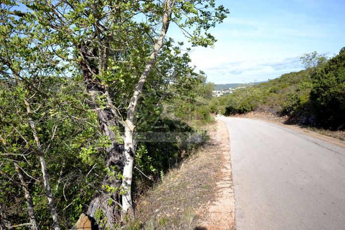 Image No.4-Terre à vendre à Loule