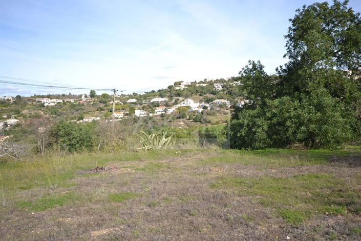 Image No.2-Terre à vendre à Loule