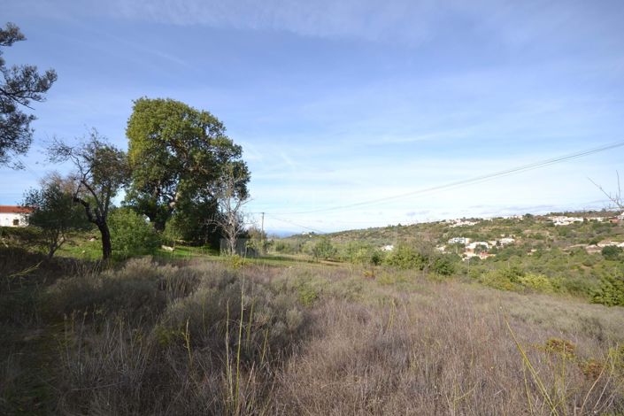 Image No.8-Terre à vendre à Loule