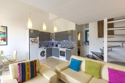 yelken_Apt_need_company-6