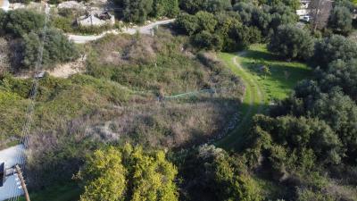 DJI_0447
