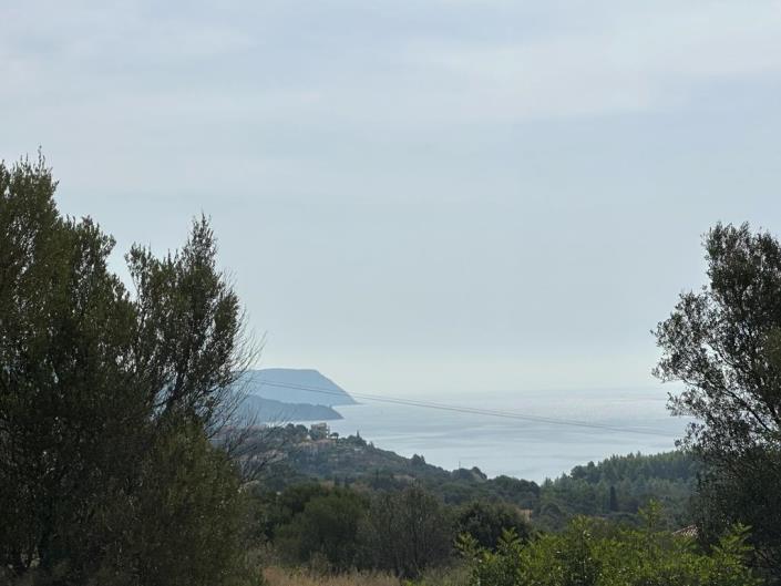Image No.3-Terre à vendre à Mousata