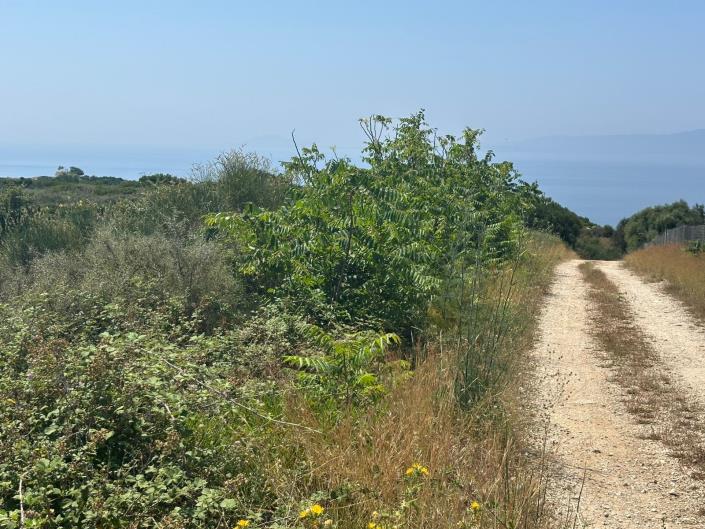 Image No.6-Plot for sale