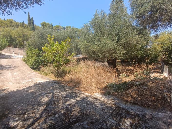 Image No.2-Land for sale