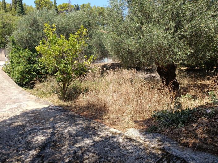 Image No.4-Land for sale