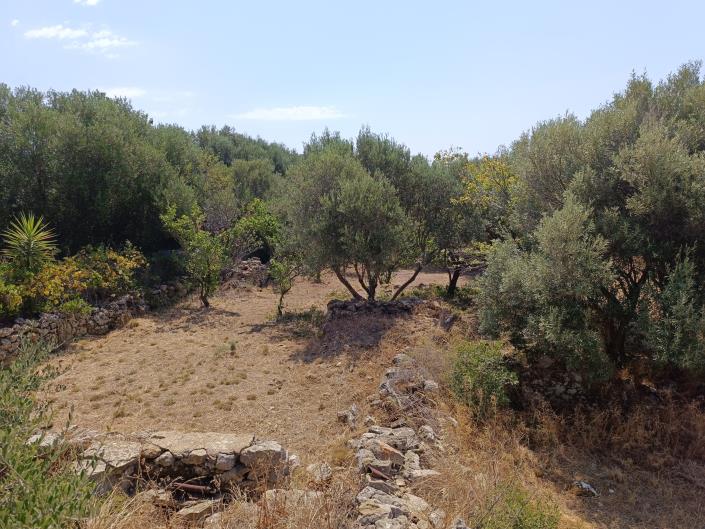 Image No.3-Land for sale