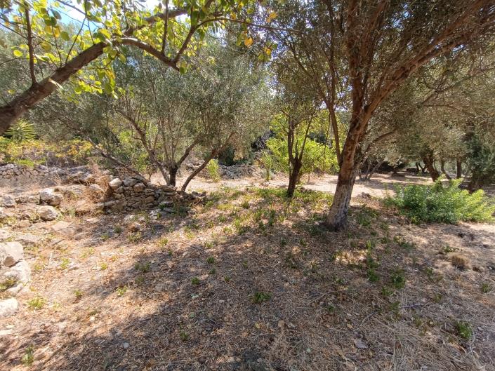 Image No.19-Land for sale