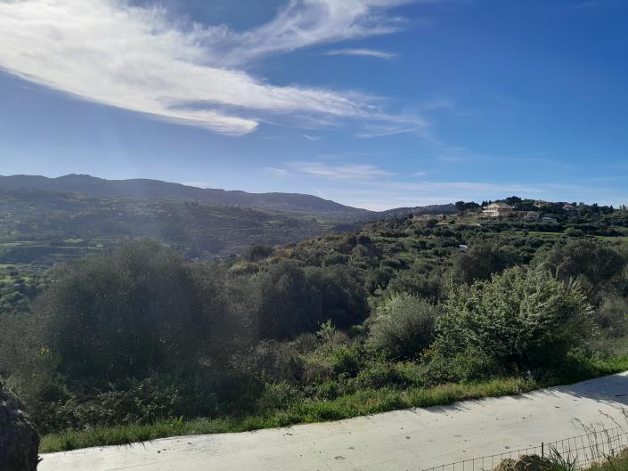 Image No.4-Land for sale