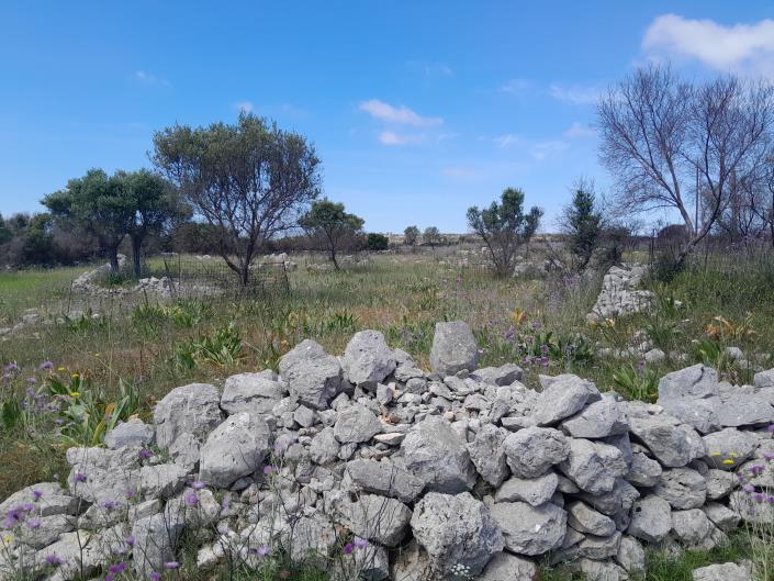 Image No.5-Land for sale