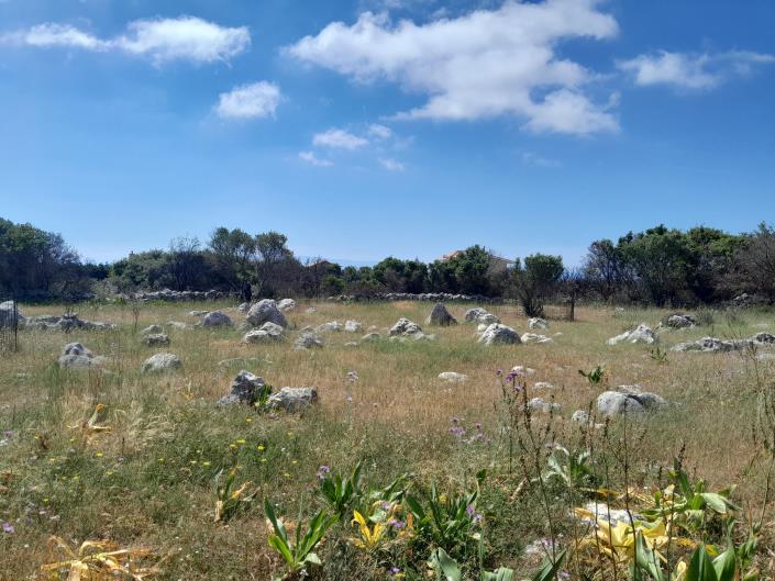 Image No.2-Land for sale