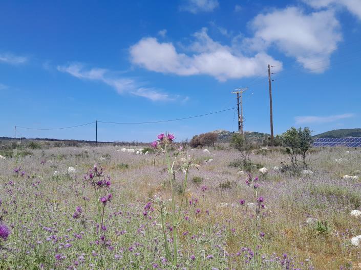 Image No.6-Land for sale