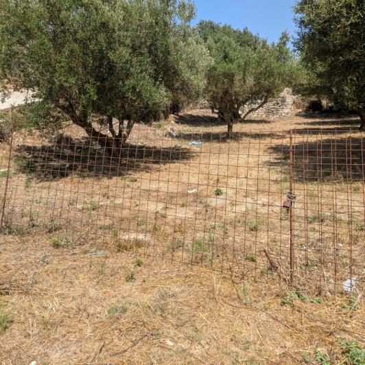 Image No.3-Plot for sale